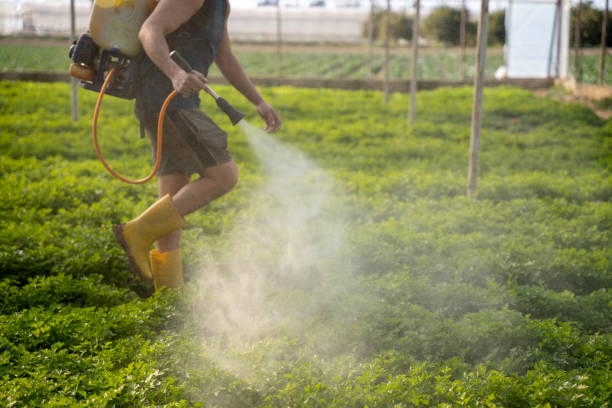 Best Pest Prevention Services  in Baldwyn, MS